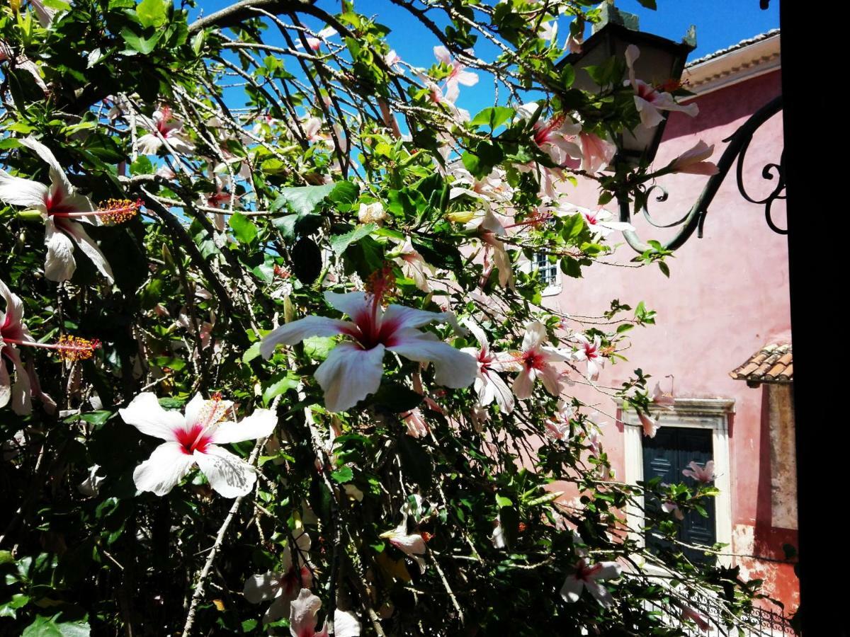 Venetian Well Cozy Apartment Corfu Old Town エクステリア 写真